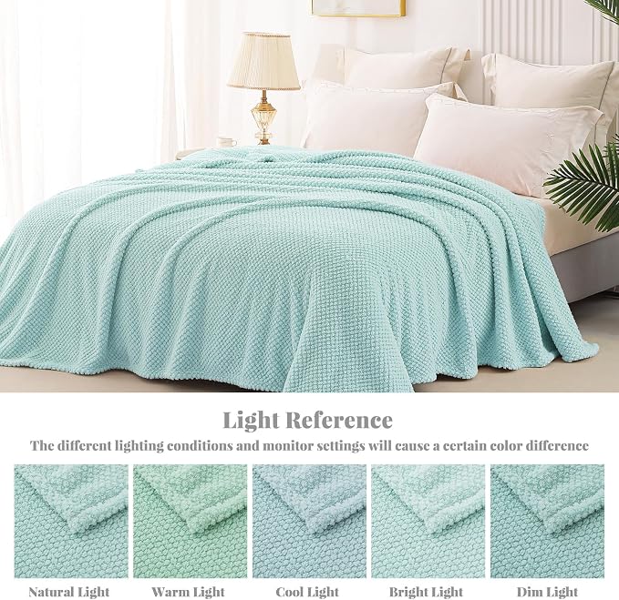 Whale Flotilla Soft Fleece King Size Bed Blanket, Light Blue | 90x104 Inch, Suitable for Bed, Fluffy Fuzzy Jacquard Blankets for All Season, Lightweight and Cozy