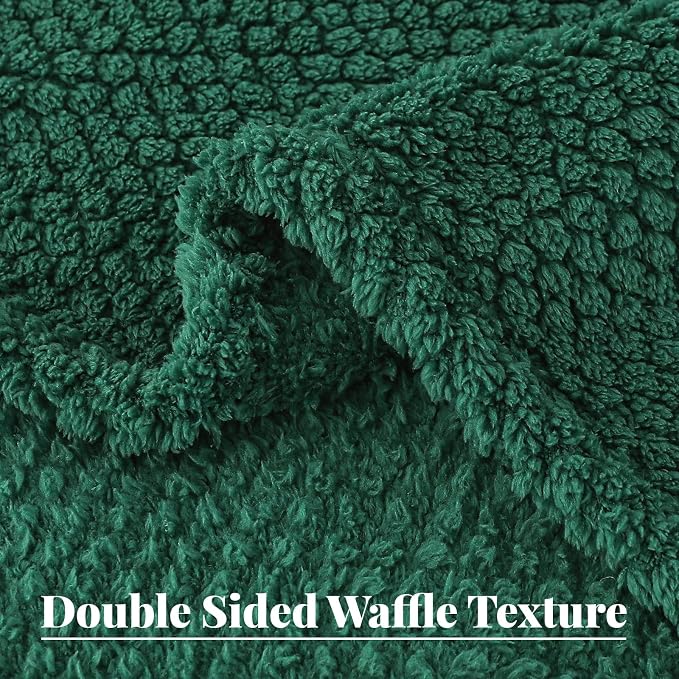 Whale Flotilla Soft Fleece Queen Size Bed Blanket, Emerald Green | 90x90 Inch, Suitable for Bed, Fluffy Fuzzy Jacquard Blankets for All Season, Lightweight and Cozy