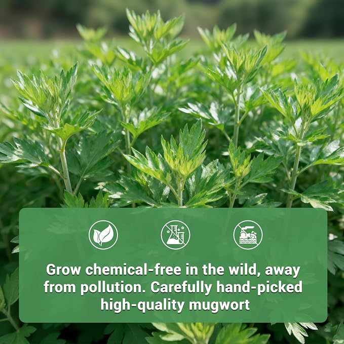 Mugwort Tea Bags, 50 Count, Dried Mugwort Leaves, Caffeine-Free Herbal Tea | Dried mugwort leaves, pyramid sachets, sugar & caffeine free, nightly relaxation, easy brewing