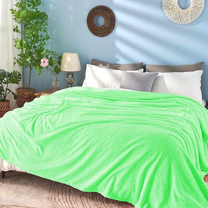 inhand Mint Green Fleece Throw Blanket for Couch, Super Soft Flannel Blanket, Lightweight Fuzzy Blankets Sofa Bed Office, Washable Cozy Plush Fleece Blankets&Throw for All Season(50x60 Inches)