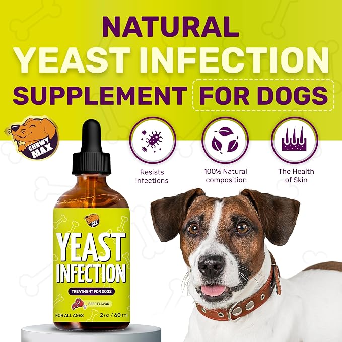 Yeast Infection Treatment for Dogs & Puppies to Help with Itching & Irritation | Dog Ear Infection Treatment for Allergies Breeds | Beef Taste | 2 Oz