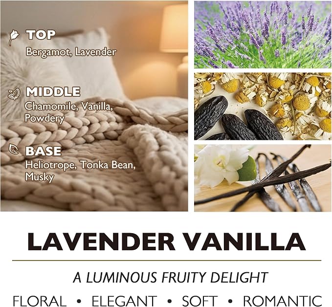 HomeLights Large jar Candle | 4-Wick Long-Lasting Scented Candles, 18oz Natural Soy Wax Candle for Home Scented, Bohemian Natural Textures Gifts for Women & Men, Lavender Vanilla