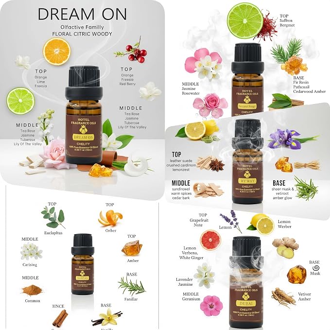 Hotel Diffuser Oil Essential Oils Set, Inspired by Luxury 5-Star Hotel, Baccarat Rouge, Dream On, Dubai, My Way, Santal, Fragrance Oil Set 5X10ML (0.34 fl oz)