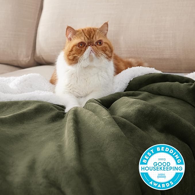Bedsure GentleSoft Sherpa Fleece Blankets King Size for Bed, Non-Heated, Thick and Warm Throw for Women and Men, Soft Fuzzy Plush King Blanket for Winter, Olive Green, 108x90 Inches