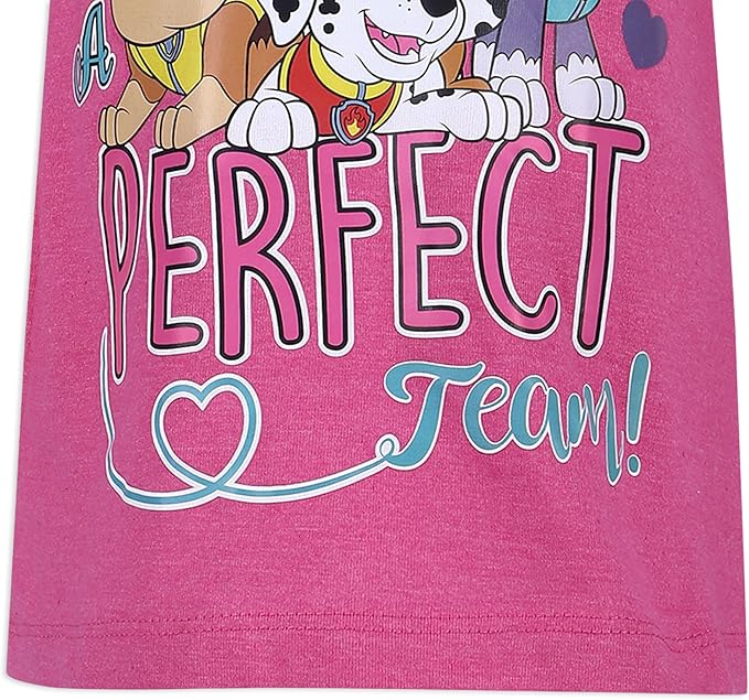 Paw Patrol Nickelodeon Girls Short Sleeve T-Shirt for Toddler and Little Kids