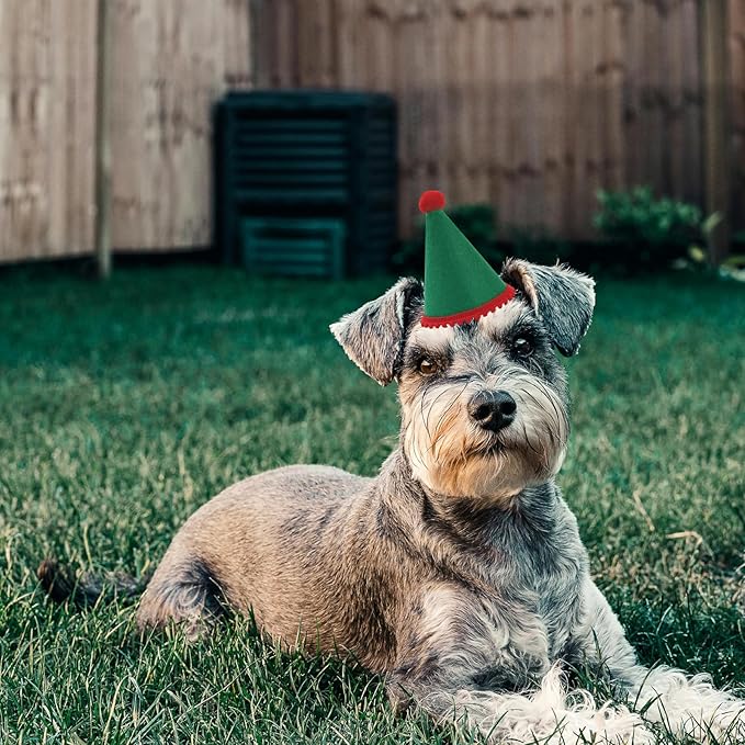 Dog Birthday Hat Set for Small Medium Dogs Cat Puppies, Mini Party Hat with Adjustable Headbands, Cute Pet Hat with Pompons for Birthday Christmas Party Decoration Accessories (Small 3.5 inch 10pcs)