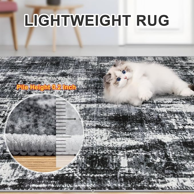 Area Rugs 10x14 Living Room - Washable Rug Modern Abstract Soft Large Neutral Non-Slip Carpet Indoor Floor Thin Carpets for Bedroom Dining Room Farmhouse Nursery Home Office Black
