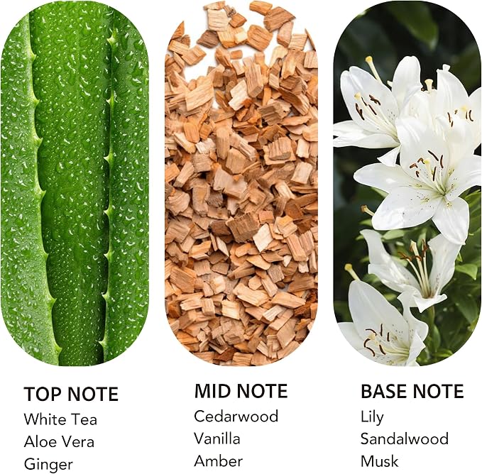 Luxury Hotel Scent Dream On 200ml Diffuser Oil Waterless Essential Aromatherapy for Cold Air & Car Diffusers – Long Lasting Refill for Large Room & Home - Signature White Tea (200ml/6.76Fl oz)