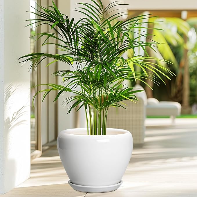 Ceramicfor Ceramic Pot for Plants - 8 Inch Ceramic Planter for Indoor Plants, Modern Round Planter with Drainage Hole and Saucer, Plant Lover Gifts, Home Office Garden Decor, White