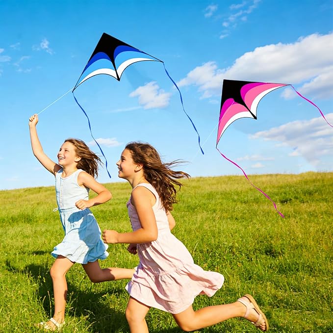Mint's Colorful Life Delta Kite for Kids & Adults, Extremely Easy to Fly Kite for Beach Trip, Best Kites for Beginners, 300ft String Handle Included