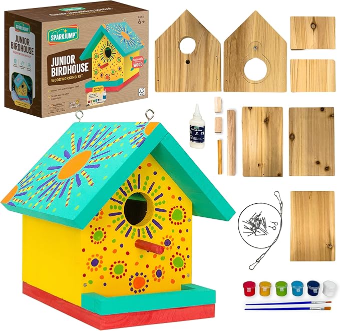 Jr Bird House Kit, DIY Cedar Wood Birdhouse for Outdoors with Paint, Fun for Kids & Adults, Bird House Making Kit for All Ages (1-Pack)