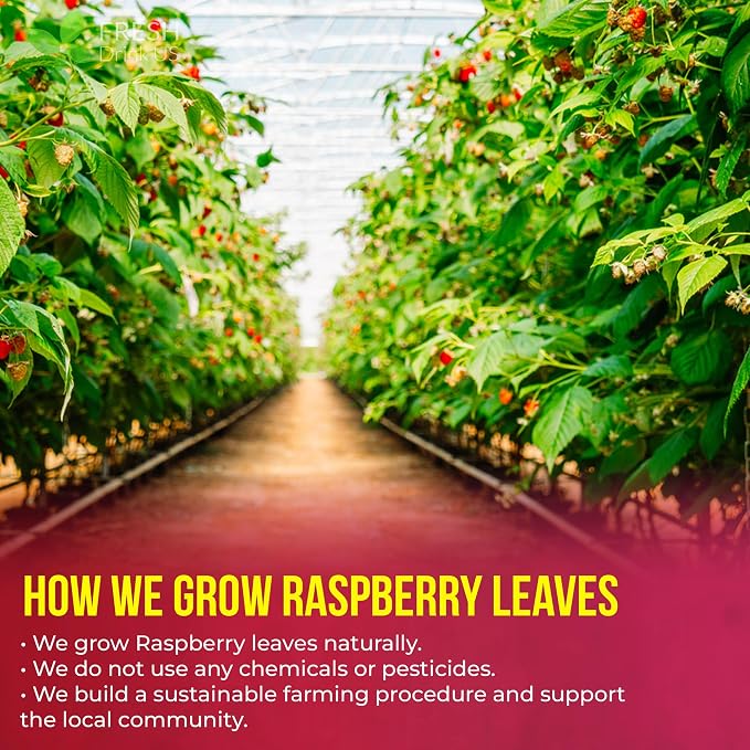 FreshDrinkUS, 75 Bags Premium Raspberry Leaf Teawith Chamomile Flavor, Eases Menstrual Cramps & Supports Healthy Pregnancy, Naturally, Caffeine-Free, Sugar Free, Vegan