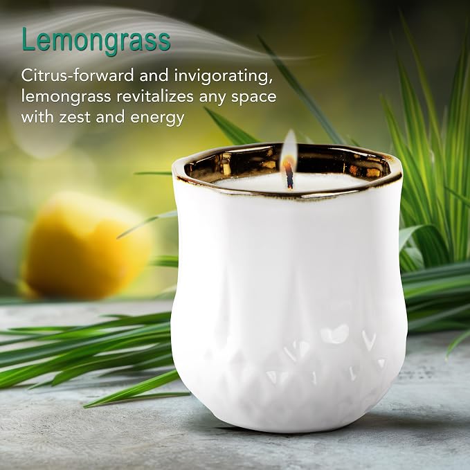 Hyggelight - The Growing Candle, Lemongrass Scented, 9oz Ceramic Pot, Single Wick Aromatherapy Candles, 100% Soy for Women and Men, Astrid