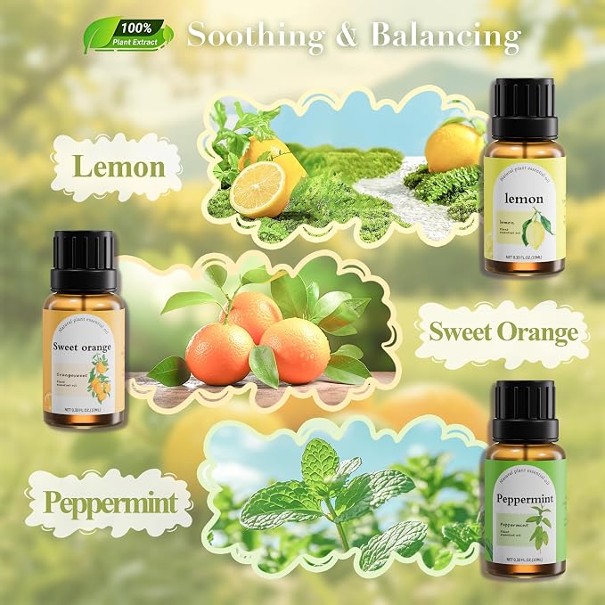 Essential Oils Set for Diffusers, 6-Pack, 10 mL Each, Aromatherapy Oils | Six scents for energy, focus and relaxation: Peppermint, Lemon, Sweet Orange, Chamomile, Magnolia & Ginger Flower