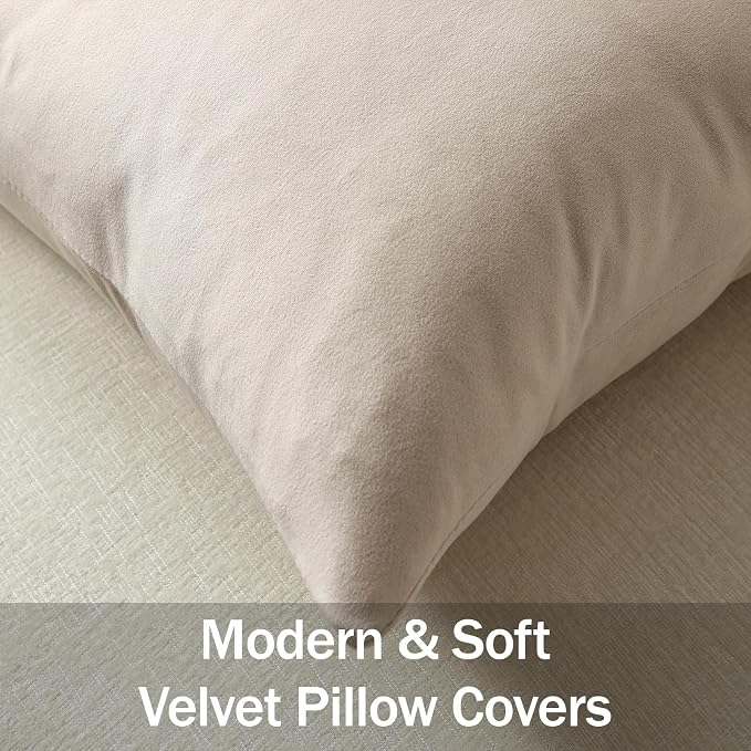 Throw Pillow Covers 22x22 Beige: Pack of 2 Cozy Soft Velvet Square Modern Luxury Decorative Throw Pillow Cases for Sofa Couch Living Room Bed Home Decor