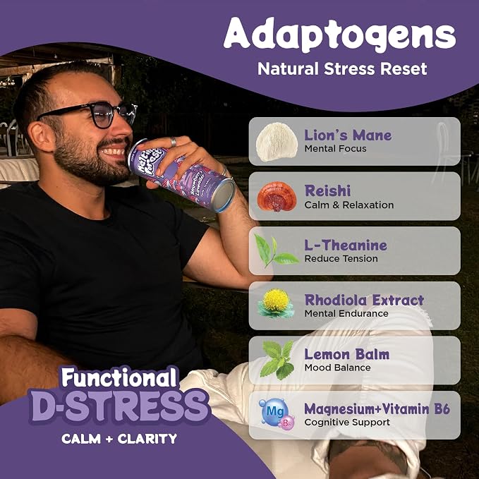 Melting Forest Functional Mushroom D-Stress - Adaptogen Drink w/L-Theanine, Reishi, Lion's Mane & Magnesium - Relaxation Drinks for Stress Relief - 0 Sugar, 5 Calories - Strawberry Lavender (12-Pack)