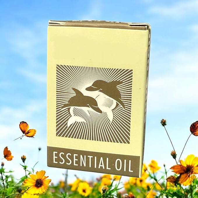 Combo - Yellow Muscular Balm and Song Ngu Essential Oil - Dau Cu La Vang Xoa Bop Co Bap Con O va Dau Nong Song Ngu