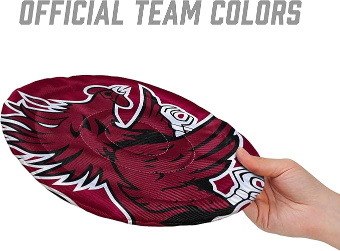 YouTheFan NCAA South Carolina Gamecocks Flimzee Bean-Bag Flying Disc