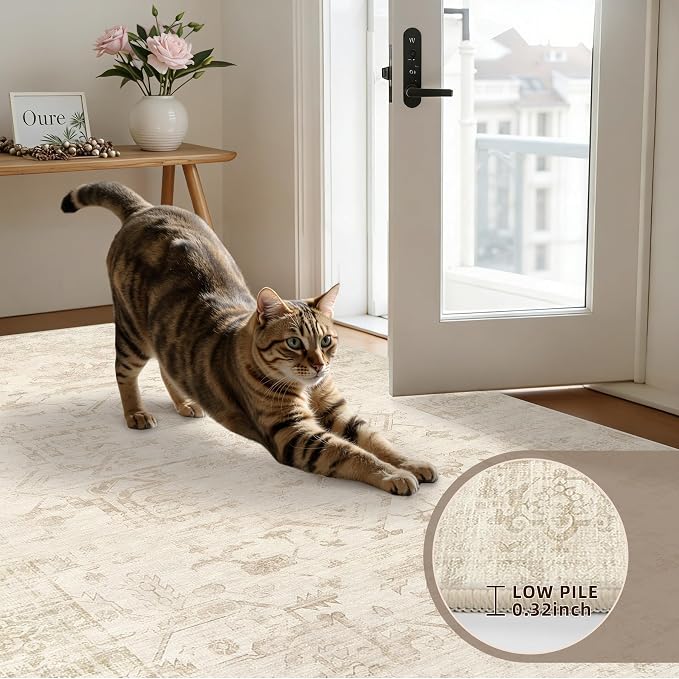 4x6 Area Rugs for Living Room: Vintage Boho Neutral Washable Rug Indoor Soft Large Area Rug Carpet for Bedroom Nursery Farmhouse Dining Room Office Floor Non-Slip Low Pile Under Table Rug Beige/Brown