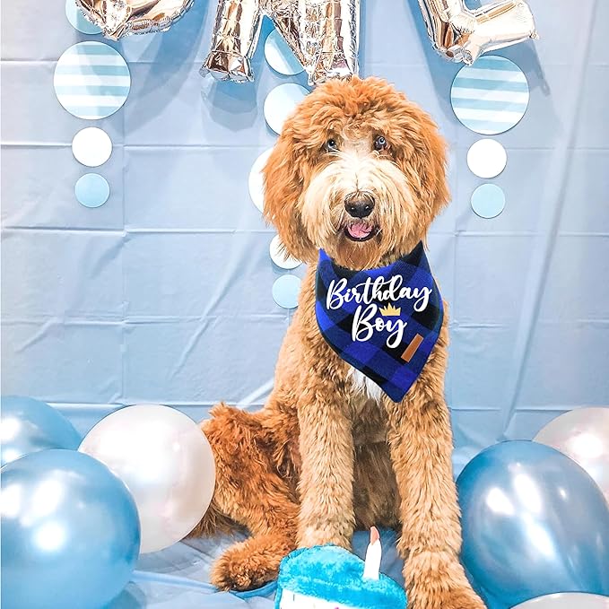 Realeaf Birthday Boy Dog Bandana, Dog Birthday Party Supplies,Premium Durable Fabric,Buffalo Bandana for Small and Medium Dogs Pets (Blue Paid, Small)