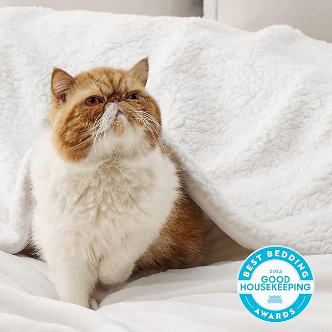Bedsure GentleSoft Sherpa Fleece Twin Size Blanket for Couch, Non-Heated, Thick and Warm Throw for Women and Men, Soft Fuzzy Plush Twin Blanket for Winter, White, 60x80 Inches