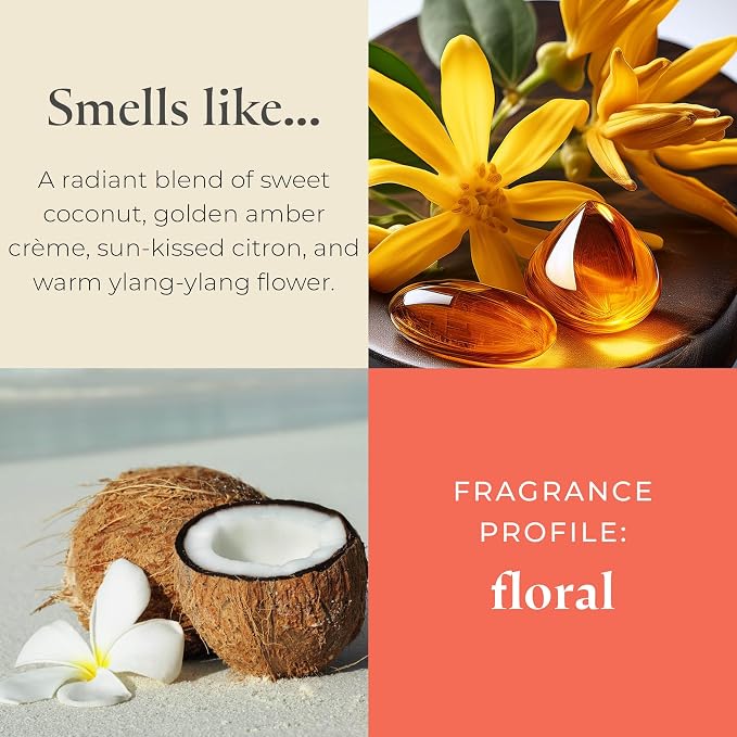 PartyLite Coastal Amber & Shea Scented, Notes of Ylang Ylang Flower, Citron & Coconut, 10oz 1-Wick Aromatherapy Refillable Jar Candle, 50 Hour Burn Time, Sustainable Wax in Reusable Vessel