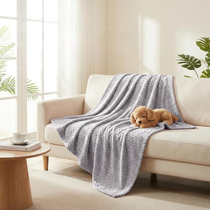 Exclusivo Mezcla Soft Fleece Blanket Twin Size for Bed, Sofa, Light Grey | 90"x66" Breathable Lightweight Flannel Blanket for Summer, Plush Cozy Jacquard Wave for Home Decor