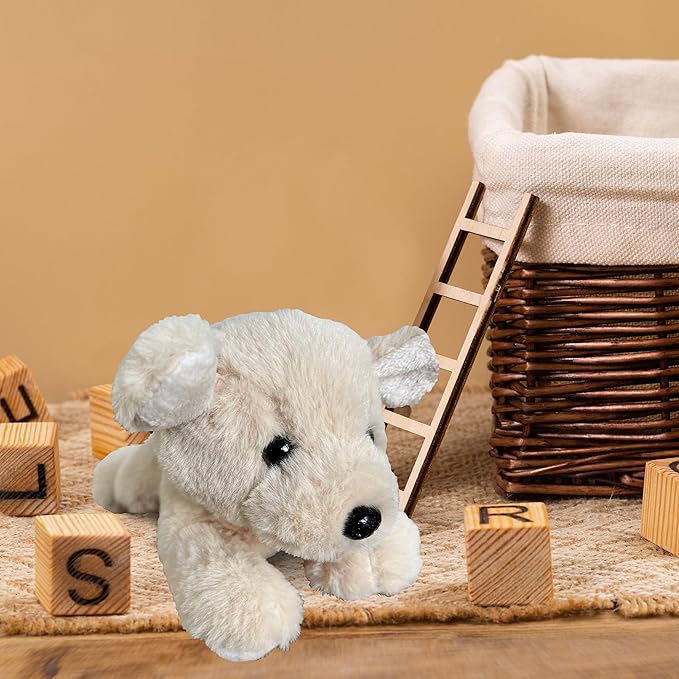 Biscuit Storytime Set: Educational Book and Plush Puppy Toy Combo for Kids and Toddlers - Bright, Colorful, and Interactive - 6.5 x 8 Book and 9.5" Stuffed Animal