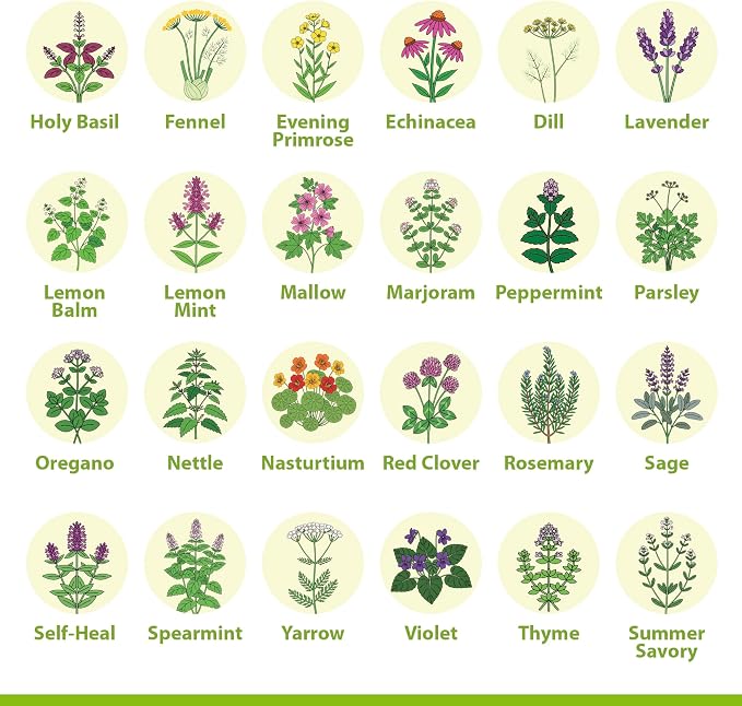 Medicinal Herb/Tea Seeds Garden -39 Variety Heirloom Gift Kit - Made in USA
