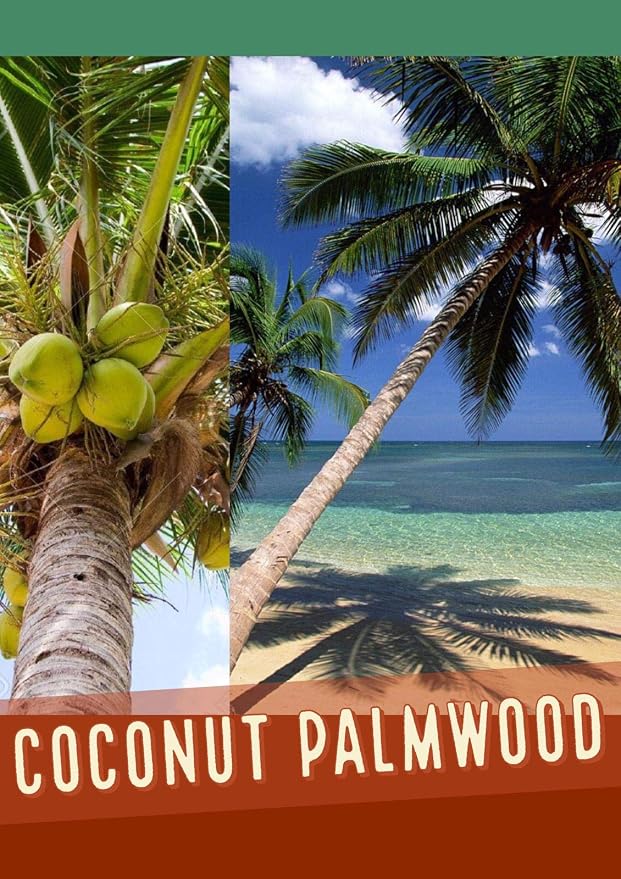ABCGEMS (Essential-Oil-Diffuser) Coconut Palmwood Wood Beads - Matte Finished (Believed for Helping to Balance Emotions & Promote Inner Peace) Smooth Round 6-7mm (Non-Shiny)