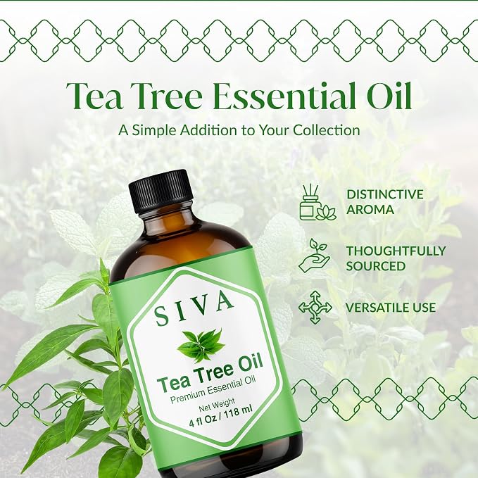 Siva Tea Tree Essential Oil 4 Fl Oz – for Diffuser, Skin & Hair Care – Ideal for Aroma, Massage & DIY Blends- with Dropper