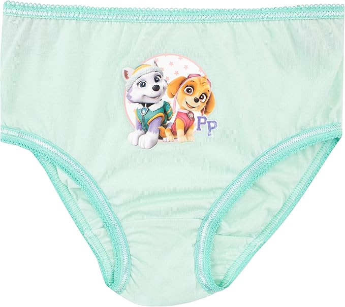 Paw Patrol Girls' Skye and Everest Underwear