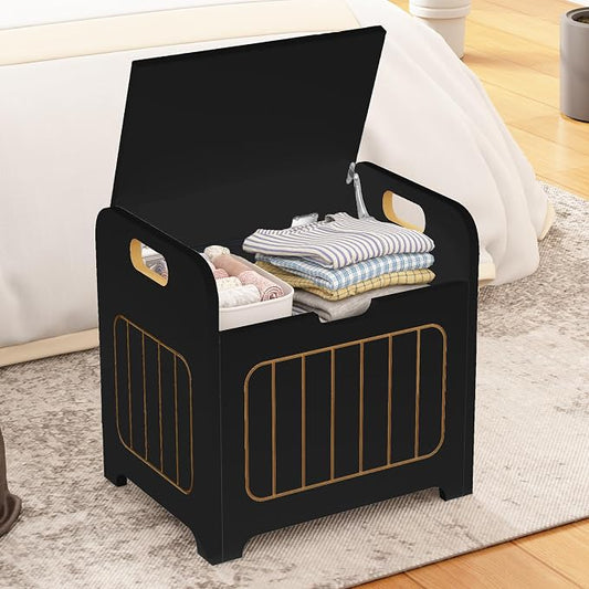 Aenuert Storage Chests, Small Cube Organizer Box,Wooden Entryway Storage (Black, With Handle)