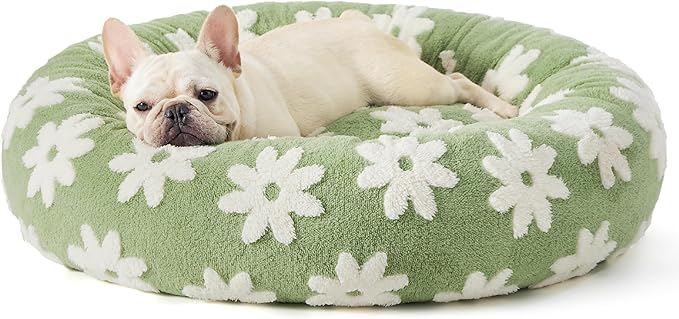 LE SURE Donut Medium Dog Bed - Round Cat Beds for Indoor Cats Calming Pet Beds, Cute Modern Beds with Jacquard Shaggy Plush & Anti Slip Bottom, 30 Inch, Green