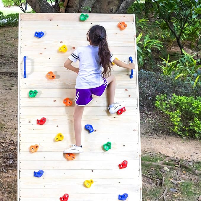 20 Rock Holds with 2Pcs Safety Handles, Kids Indoor Outdoor Play Set, Wall Climbing Kit with Mounting Hardware