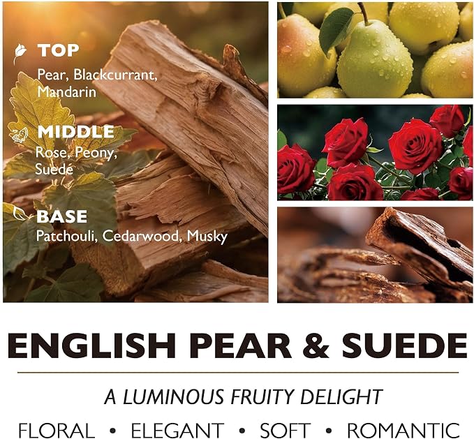 HomeLights Soy Wax Candles for Home Scented, 3-Wick Candles in English Pear & Suede Scented, Bohemian Natural Textures Aromatherapy Candles Gift for Parties, Relaxing, 34oz