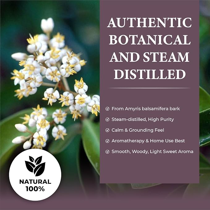 Amyris Essential Oil – 100% Natural Steam-Distilled Amyris Balsamifera Oil from Haiti – Warm Woody Balsamic Aroma for Diffusers, Candles, Perfumes, Massage Blends, Skincare & Aromatherapy – 2 Fl oz