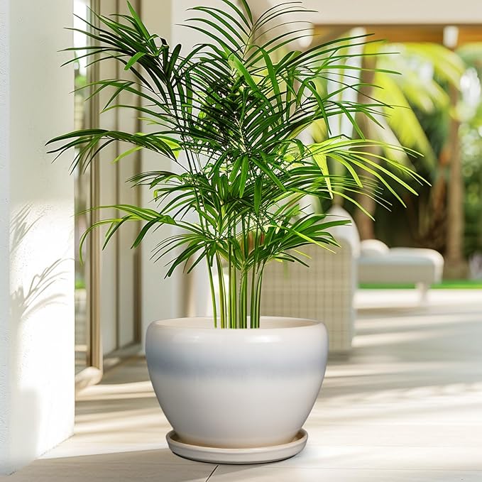 Ceramicfor 10 Inch Ceramic Planter Pot - Large Plant Pot with Drainage Hole and Saucer Round Flower Pot for Indoor Plants, White