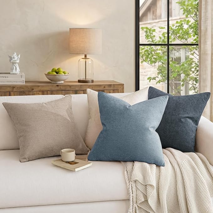 a moment Pack of 2 Decorative Chenille Throw Pillow Covers with Twill Cushion Covers for Sofa Living Room Couch Bed 24x24 Inch Coastal Blue