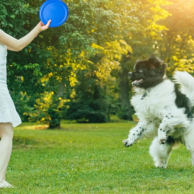 8 Inch Foam Flying Discs PE Equipment Coated Soft Flying Discs Kid Toy for Physical Education Equipment Elementary School Teaching Beach Outdoor Playing Game Sports Party Supplies, 6 Colors