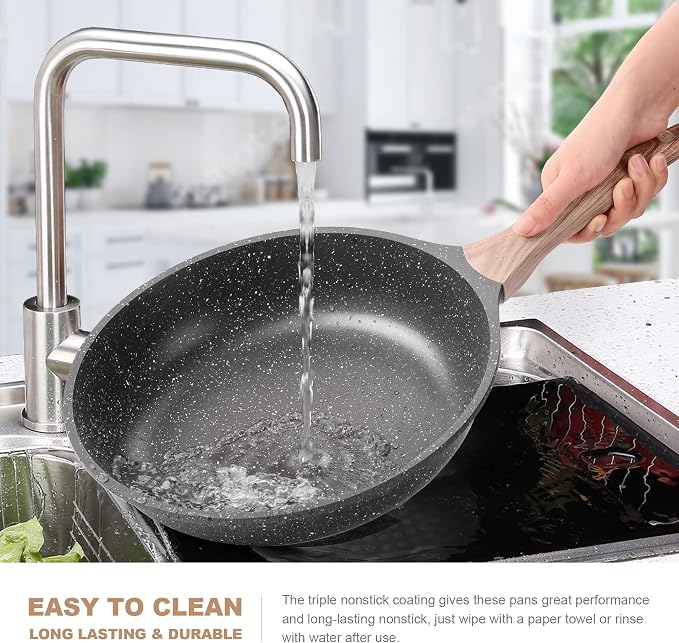 Caannasweis Nonstick Granite Omelet Frying Pan Skille 12 Inch with Lid | Non Stick Omelette Fry Pans, Omelet Egg Pan, Stone Cookware Chef's Pan, Induction Compatible, PFOA Free