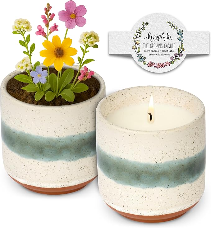Hyggelight - The Growing Candle, Apple & Pine Scented, 8.5oz Ceramic Pot, Aromatherapy Candles, 100% Soy for Women and Men, Edith