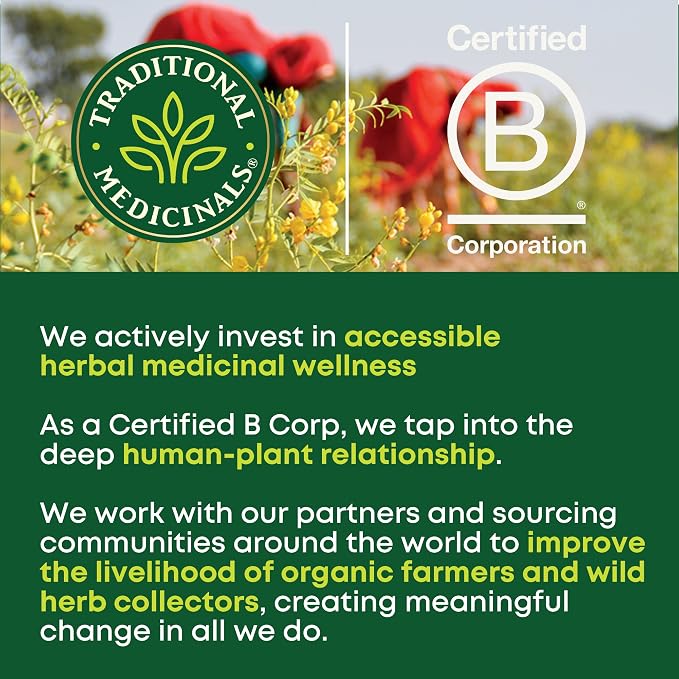 Traditional Medicinals Organic, Mother's Milk Tea - Supports Breastfeeding & Lactation with Fennel and Fenugreek - Kosher, Non-GMO, Caffeine-Free, Compostable - 48 Tea Bags