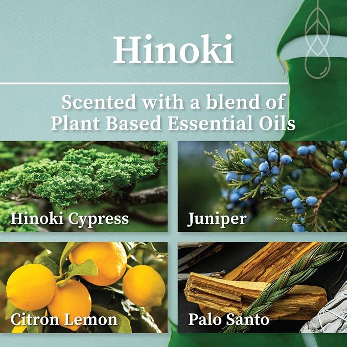 Hemlock Park Hinoki Apothecary Scented Candle | Crackling Wood Wick, Botanical Fragrance & Coconut Apricot Wax | Up to 60 Hour Burn Time | 8 oz | Made in USA
