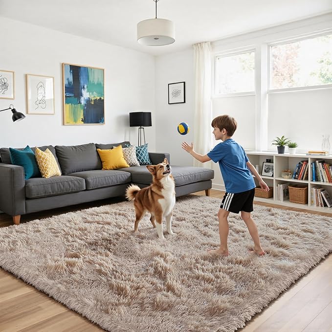 Fluffy Rug Shag Area Rug, Beige 3x5 Area Rugs for Bedroom, Small Bedside Rug, Soft Fluffy Shag Entryway Throw Rugs for Living Room Bedroom Room Home Decor