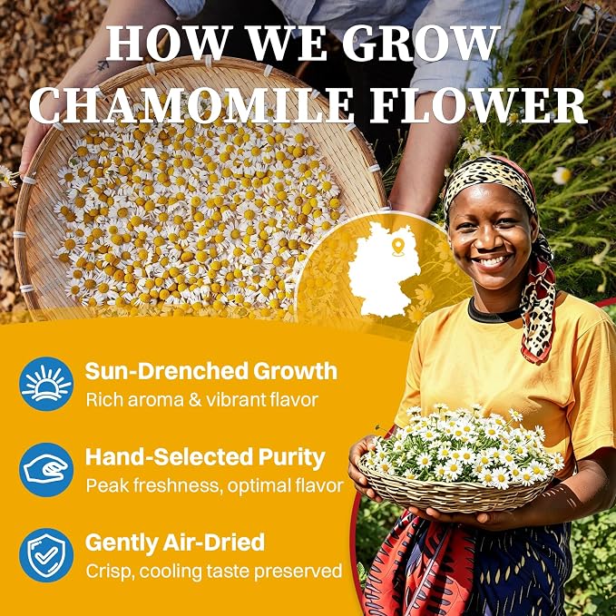 SKMTT Chamomile Tea Bags, 120 Count (2g/bag) - Premium Chamomile Flower Herbal Tea for Relaxation, Caffeine Free & Non-GMO, No Additives