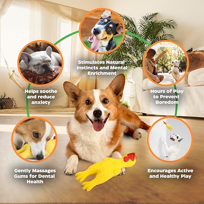 100% Natural Latex Squeaky Dog | Durable Rubber Chicken Chew Toy for Small & Large Dogs | Funny Screaming Chicken | Safe & Interactive Toy for Play, Teething and Boredom | Tough Design