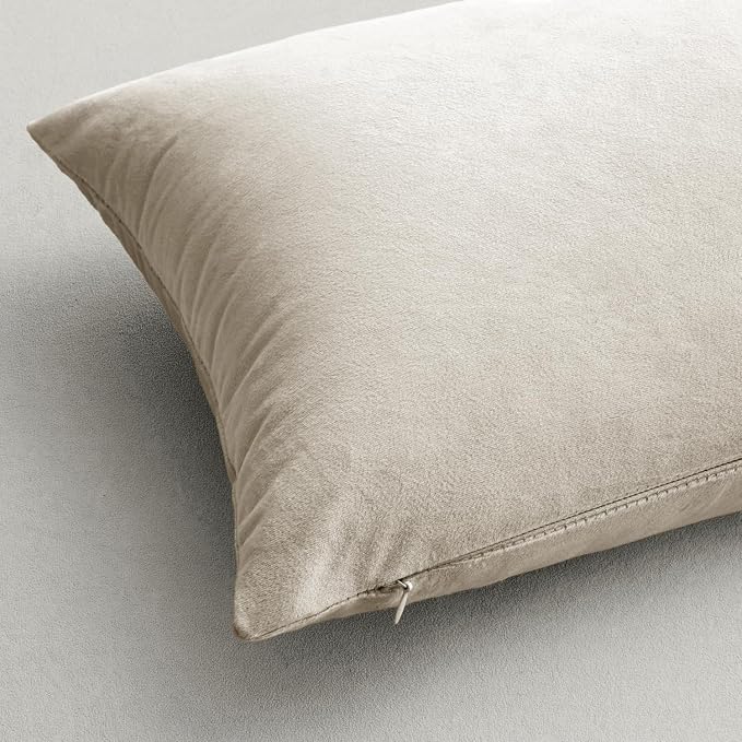 MIULEE 24x24 Inch Pack of 2 Euro Velvet Throw Pillow Covers Cream White | Soft Solid Decorative Euro Sham, Modern Luxury Home Decor, for King Bed Sofa Couch Bedroom Livingroom
