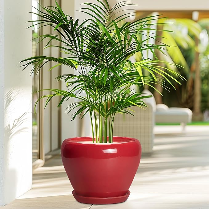 Ceramicfor Ceramic Planter for Indoor Plants 8 Inch - Ceramic Plant Pot with Drainage Hole and Saucer, Glaze Round Decorative Modern Flower Pot, Housewarming Gift, Home Room Office Decor, Red