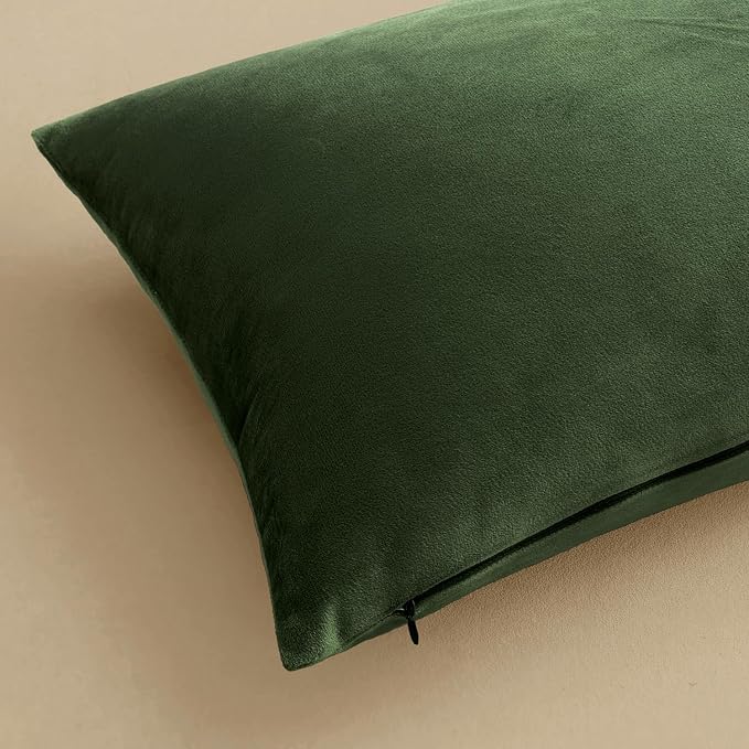 MIULEE 24x24 Inch Pack of 2 Euro Velvet Throw Pillow Covers Moss Green | Soft Solid Decorative Euro Sham, Modern Luxury Home Decor, for King Bed Sofa Couch Bedroom Livingroom